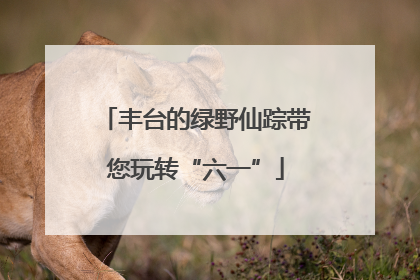 丰台的绿野仙踪带您玩转“六一”